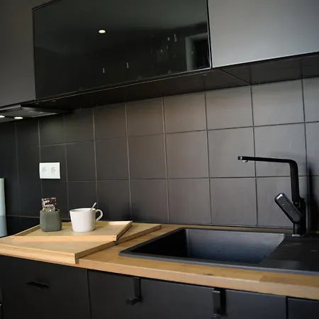 Elegant Flat Shared Outstanding Terrace